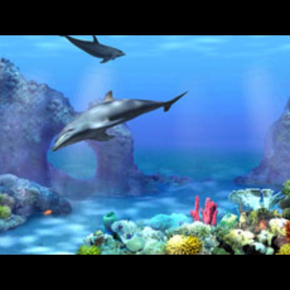 Meet your Posher, Marie